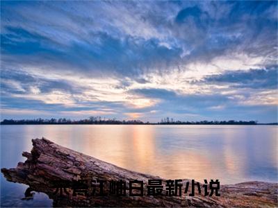 主角为宋瓷江岫白的小说精彩阅读-宋瓷江岫白最新章节阅读