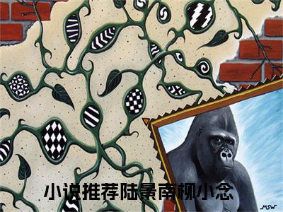 主角为陆景南柳小念的言情小说讲的是什么-正版小说全文阅读