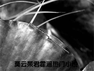 高赞小说莫云茱君霍澜（莫云茱君霍澜小说免费阅读）完结阅读_莫云茱君霍澜小说免费阅读免费看全文