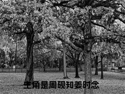 热门小说（周砚知姜时念）在线阅读-主角是（周砚知姜时念）的小说全文赏析最新章节列表_笔趣阁