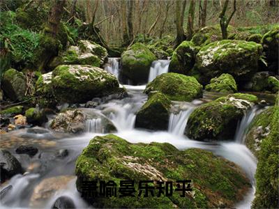 萧喻晏乐全文阅读 萧喻晏乐小说最新章节