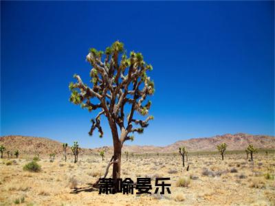 萧喻晏乐小说全文-萧喻晏乐小说免费阅读大结局