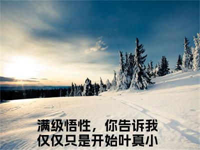 满级悟性，你告诉我仅仅只是开始叶真热门小说全文免费阅读无弹窗大结局-满级悟性，你告诉我仅仅只是开始叶真全文无弹窗免费阅读大结局