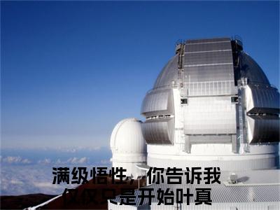 满级悟性，你告诉我仅仅只是开始叶真高质量热文推荐试读-满级悟性，你告诉我仅仅只是开始叶真完整章节阅读