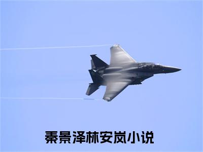秦景泽林安岚精彩小说（秦景泽林安岚）阅读大结局 秦景泽林安岚免费版小说更新阅读_笔趣阁