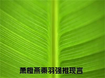 萧橙燕秦羽（萧橙燕秦羽)全文免费阅读无弹窗大结局_萧橙燕秦羽全文免费阅读_笔趣阁（萧橙燕秦羽）