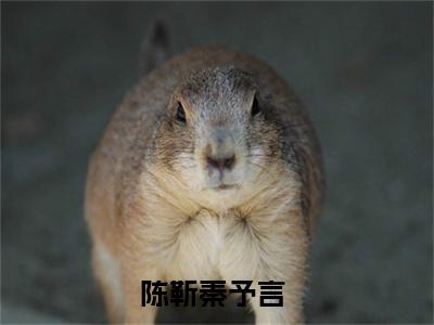 陈靳秦予言（陈靳秦予言）全文免费阅读无弹窗大结局_陈靳秦予言最新章节列表_笔趣阁