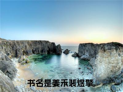 姜禾裴煜擎小说（姜禾裴煜擎）小说全文无删减版在线阅读_姜禾裴煜擎小说最新章节列表