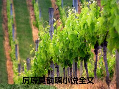 厉琛夏韵璃（厉琛夏韵璃）全文免费阅读无弹窗大结局_厉琛夏韵璃小说在线阅读全文