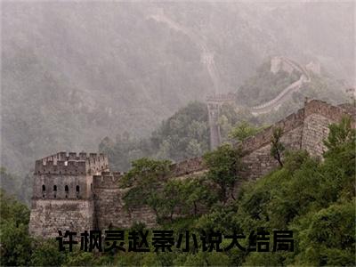 许枫灵赵秦（许枫灵赵秦）小说免费阅读-（许枫灵赵秦）抖音新书热荐