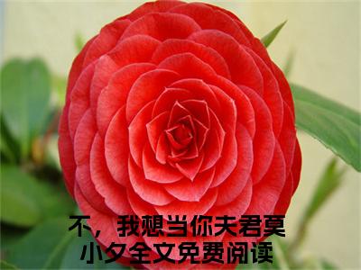 (热推新书)《不，我想当你夫君莫小夕》无弹窗大结局（不，我想当你夫君莫小夕）-抖音热推不，我想当你夫君莫小夕无弹窗阅读最新章节列表_笔趣阁