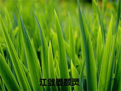 江敛墨颜灵（江敛墨颜灵）最新章节在线阅读-江敛墨颜灵小说完整版阅读
