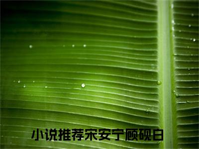 宋安宁顾砚白(宋安宁顾砚白小说)最新在线阅读_宋安宁顾砚白小说免费阅读