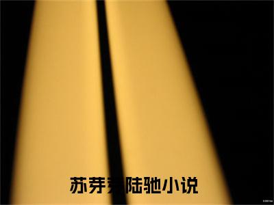 苏芽芽陆驰小说最新试读_苏芽芽陆驰是(苏芽芽陆驰全文完整版免费阅读)_笔趣阁
