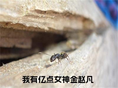 我有亿点女神金赵凡无弹窗热文在线阅读_我有亿点女神金赵凡(我有亿点女神金赵凡小说免费阅读全文大结局)最新章节列表_笔趣阁