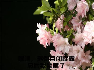 林稚厉观衍小说（嘿嘿，撂倒自闭症霸总后我赢麻了）全文在线阅读免费大结局_林稚厉观衍小说最新章节列表
