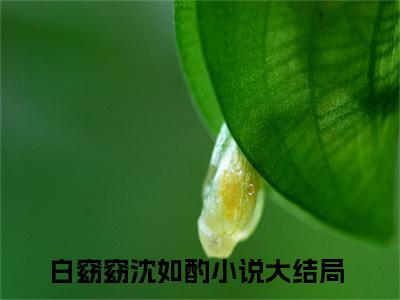 白窈窈沈如酌小说免费阅读全文在线阅读，娇软小奶狐她，被摄政王宠哭了的小说在线阅读全文