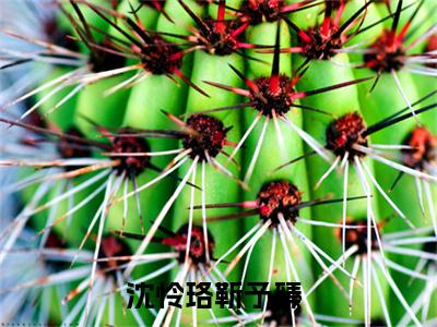 沈怜珞靳予臻小说（沈怜珞靳予臻全文完整版免费阅读）_沈怜珞靳予臻小说免费最新章节列表