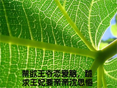 禁欲王爷恋爱脑，跪求王妃要亲亲沈思悔阅读无弹窗大结局_（禁欲王爷恋爱脑，跪求王妃要亲亲沈思悔阅读无弹窗）最新章节列表_笔趣阁（禁欲王爷恋爱脑，跪求王妃要亲亲沈思悔）