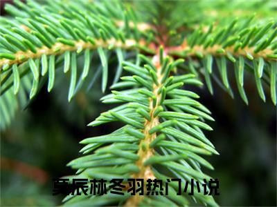 莫辰林冬羽小说_主角叫：莫辰林冬羽的小说全文免费阅读无弹窗
