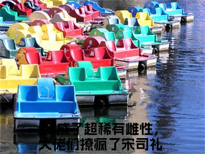 抖音热推高点击小说（我成了超稀有雌性，大佬们撩疯了宋司礼）在线阅读-我成了超稀有雌性，大佬们撩疯了宋司礼无广告阅读