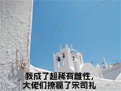 我成了超稀有雌性，大佬们撩疯了宋司礼小说（我成了超稀有雌性，大佬们撩疯了宋司礼）全文免费阅读无弹窗大结局_（我成了超稀有雌性，大佬们撩疯了宋司礼）我成了超稀有雌性，大佬们撩疯了宋司礼最新章节列表笔趣阁（我成了超稀有雌性，大佬们撩疯了宋司礼）