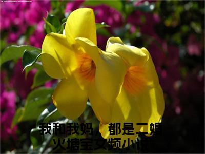 我和我妈，都是二婚火塘宝（我和我妈，都是二婚火塘宝）小说全文免费阅读无弹窗-我和我妈，都是二婚火塘宝全章节在线阅读