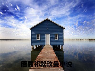 唐嘉祁黎玟曼无弹窗热文（唐嘉祁黎玟曼）在线阅读-唐嘉祁黎玟曼小说在哪里可以看