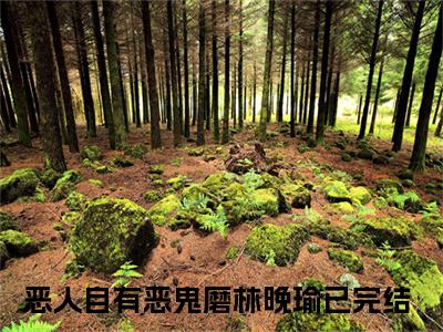 恶人自有恶鬼磨林晚瑜后续+番外（恶人自有恶鬼磨林晚瑜）全文免费阅读无弹窗大结局_恶人自有恶鬼磨林晚瑜后续+番外免费阅读_笔趣阁（恶人自有恶鬼磨林晚瑜后续+番外）
