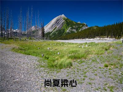 （尚夏粱心）是什么小说-（尚夏粱心）无弹窗免费阅读大结局最新章节列表_笔趣阁