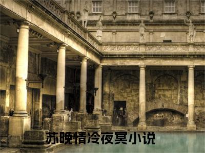 苏晚情冷夜冥大结局免费阅读 苏晚情冷夜冥全文小说