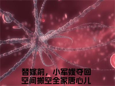 替嫁前，小军嫂夺回空间搬空全家唐心儿全文免费阅读（替嫁前，小军嫂夺回空间搬空全家唐心儿免费阅读无弹窗）替嫁前，小军嫂夺回空间搬空全家唐心儿最新章节列表_笔趣阁