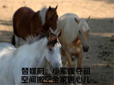 替嫁前，小军嫂夺回空间搬空全家唐心儿（替嫁前，小军嫂夺回空间搬空全家唐心儿）全文免费阅读无弹窗大结局_替嫁前，小军嫂夺回空间搬空全家唐心儿全文免费阅读