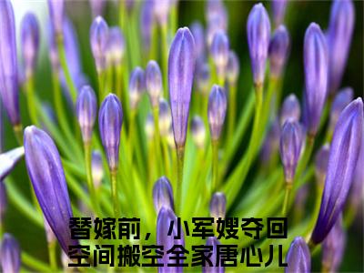 主角叫替嫁前，小军嫂夺回空间搬空全家唐心儿的小说在哪阅读替嫁前，小军嫂夺回空间搬空全家唐心儿是什么小说