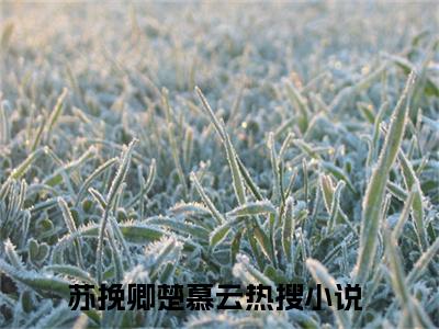 苏挽卿楚慕云小说（苏挽卿楚慕云）无弹窗大结局- 苏挽卿楚慕云全文阅读