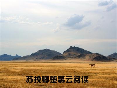 苏挽卿楚慕云小说免费阅读苏挽卿楚慕云小说全文免费阅读_苏挽卿楚慕云最新章节列表笔趣阁