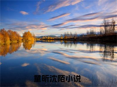 童昕沈陌小说全文，童昕沈陌无弹窗免费阅读