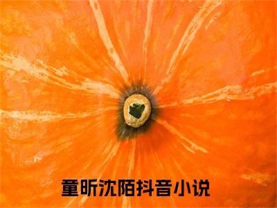 童昕沈陌（童昕沈陌小说）全文免费阅读无弹窗大结局_童昕沈陌小说免费阅读-笔趣阁