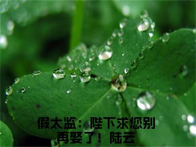 假太监：陛下求您别再娶了！陆云全文免费阅读无弹窗大结局_假太监：陛下求您别再娶了！陆云小说免费阅读完整版全文大结局