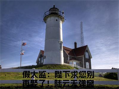 假太监：陛下求您别再娶了！陆云全文免费阅读无弹窗大结局-(假太监：陛下求您别再娶了！陆云)什么小说-假太监：陛下求您别再娶了！陆云热门小说更新