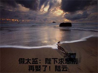 假太监：陛下求您别再娶了！陆云小说全文免费阅读（假太监：陛下求您别再娶了！陆云）全文免费阅读无弹窗大结局_(假太监：陛下求您别再娶了！陆云)假太监：陛下求您别再娶了！陆云小说免费阅读无弹窗最新章节列表_笔趣阁（假太监：陛下求您别再娶了！陆云）
