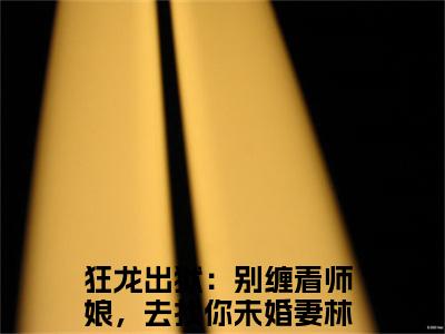 狂龙出狱：别缠着师娘，去找你未婚妻林川是什么小说_主角是（狂龙出狱：别缠着师娘，去找你未婚妻林川）的小说（狂龙出狱：别缠着师娘，去找你未婚妻林川）最新章节无弹窗阅读