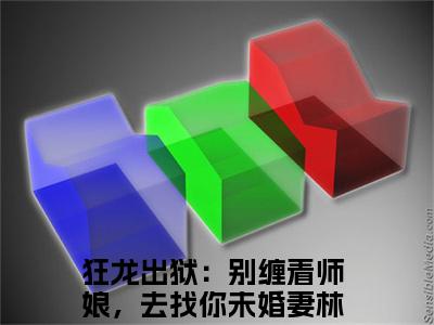狂龙出狱：别缠着师娘，去找你未婚妻林川小说热门阅读全文-狂龙出狱：别缠着师娘，去找你未婚妻林川章节无删减版