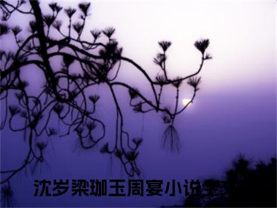 （免费）+（全文）沈岁梁珈玉周宴（岁岁）免费阅读最新章节无弹窗岁岁完整版小说在线阅读