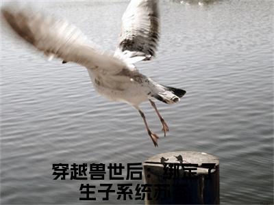 穿越兽世后：绑定了生子系统苏茶全文免费阅读无弹窗大结局_穿越兽世后：绑定了生子系统苏茶最新章节列表笔趣阁