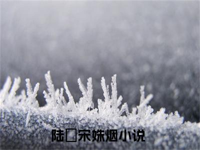 男女主人公陆竘宋姝烟小说搞笑陆竘宋姝烟全文免费阅读