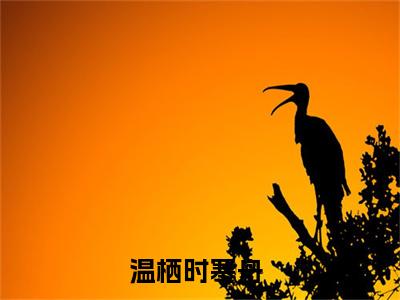 温栖时寒舟小说（温栖时寒舟）全文免费阅读无弹窗大结局_温栖时寒舟小说最新章节列表