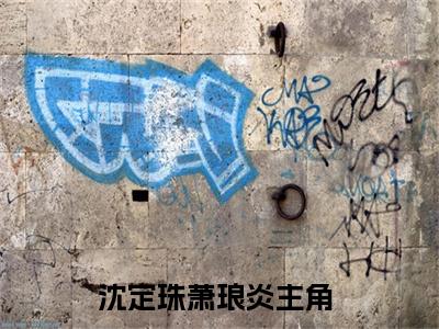 沈定珠萧琅炎（沈定珠萧琅炎）小说全文在线阅读_沈定珠萧琅炎最新章节在线阅读_笔趣阁