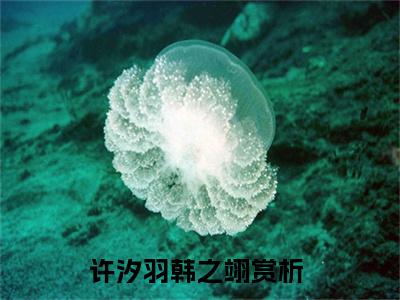 许汐羽韩之翊（许汐羽韩之翊全文）全文免费阅读无弹窗大结局_（许汐羽韩之翊）许汐羽韩之翊全文小说最新章节列表笔趣阁（许汐羽韩之翊全文）