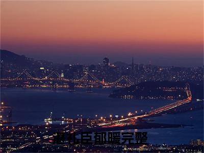 湛礼臣郁暖小说（湛礼臣郁暖）全文免费阅读无弹窗大结局_湛礼臣郁暖最新章节列表_笔趣阁
